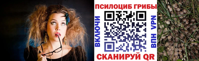 Галлюциногенные грибы Psilocybine cubensis  купить   Лесосибирск 