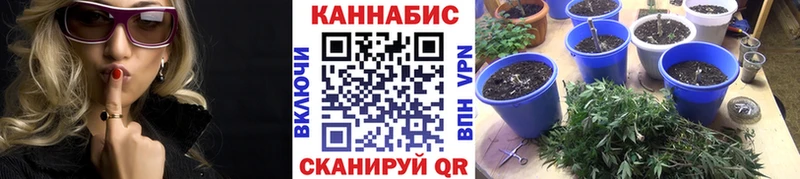 Шишки марихуана SATIVA & INDICA  Лесосибирск 